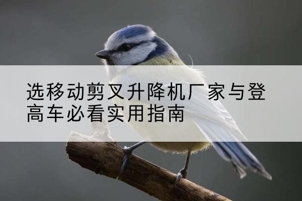 德保电动升降机厂家-选移动剪叉升降机厂家与登高车必看实用指南