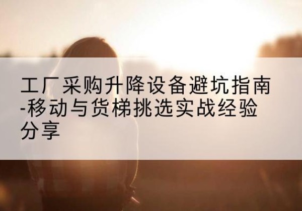 德保移动式升降机怎么选-工厂采购升降设备避坑指南-移动与货梯挑选实战经验分享