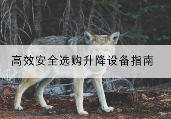 德保升降货梯厂家推荐-*安全选购升降设备指南